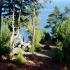 2012.01.21. - Golden Beach, Hegyek